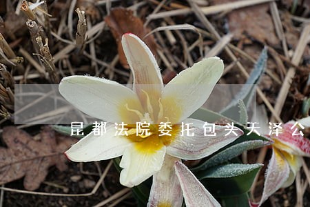 昆都法院委托包头天泽公证处送达 昆都法院委托包头天泽公证处送达