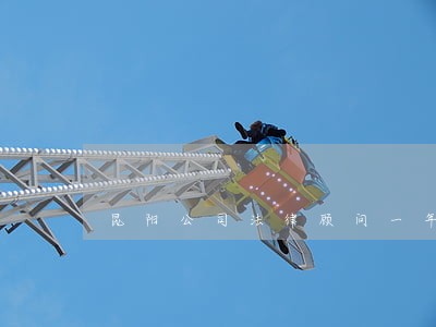 昆阳公司法律顾问一年多少钱 昆阳公司法律顾问一年多少钱