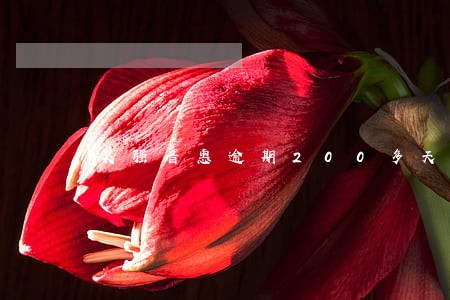 昊强普惠逾期200多天 昊强普惠逾期200多天