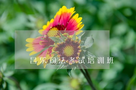 昌乐司法考试培训班 昌乐司法考试培训班