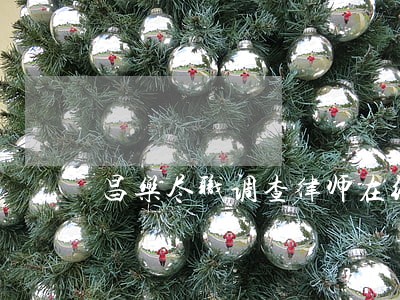 昌乐尽职调查律师在线