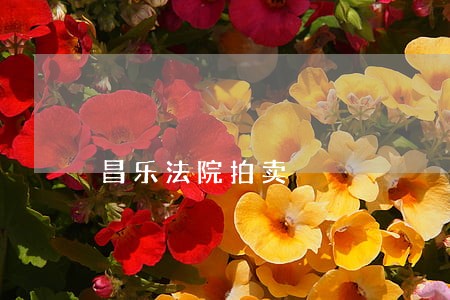 昌乐法院拍卖 昌乐法院拍卖