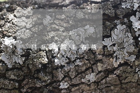 昌乐法院王春燕 昌乐法院王春燕