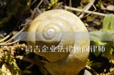 昌吉企业法律顾问律师 昌吉企业法律顾问律师