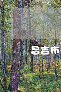 昌吉市法院房屋拍卖 昌吉市法院房屋拍卖