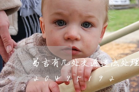 昌吉有几处交通违法处理窗口/2023020495192 昌吉有几处交通违法处理窗口/2023020495192
