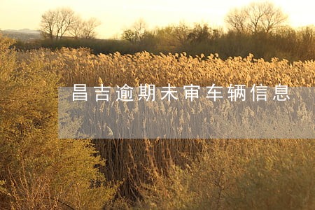 昌吉逾期未审车辆信息 昌吉逾期未审车辆信息