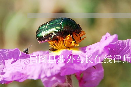 昌图县涉外专长在线律师 昌图县涉外专长在线律师