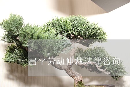昌平劳动仲裁法律咨询 昌平劳动仲裁法律咨询