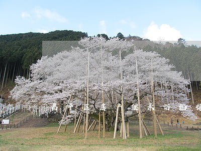 昌平区房产继承诉讼律师咨询 昌平区房产继承诉讼律师咨询