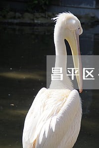 昌平区有效的法律援助 昌平区有效的法律援助