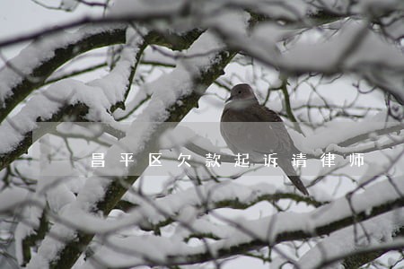 昌平区欠款起诉请律师