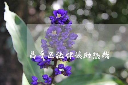 昌平区法律援助热线 昌平区法律援助热线