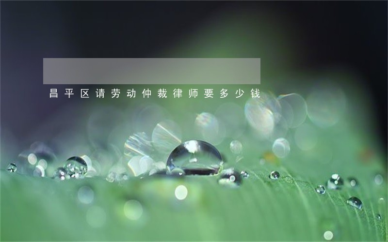 昌平区请劳动仲裁律师要多少钱