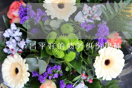 昌平好的债务纠纷律师 昌平好的债务纠纷律师