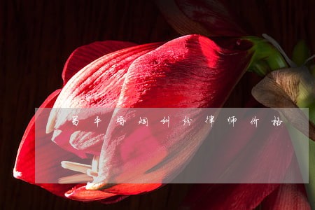 昌平婚姻纠纷律师价格 昌平婚姻纠纷律师价格