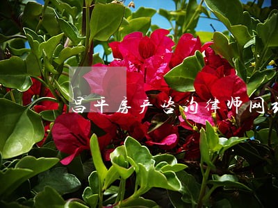 昌平房产咨询律师网站