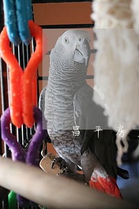 昌平房产律师电话通州 昌平房产律师电话通州