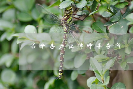 昌平房产证律师事务所 昌平房产证律师事务所