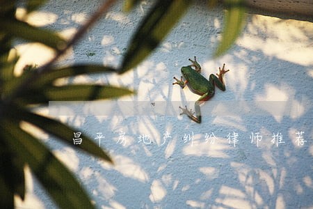 昌平房地产纠纷律师推荐 昌平房地产纠纷律师推荐