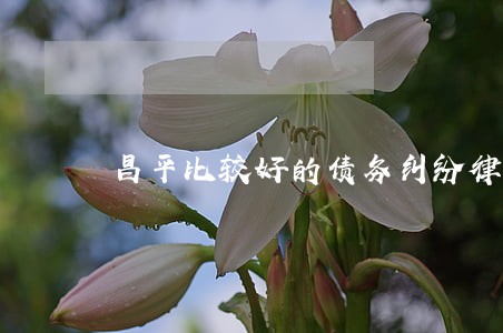 昌平比较好的债务纠纷律师哪家好 昌平比较好的债务纠纷律师哪家好