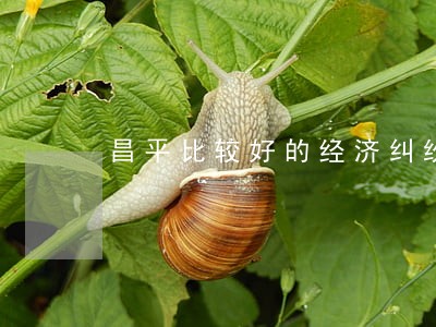 昌平比较好的经济纠纷律师所 昌平比较好的经济纠纷律师所