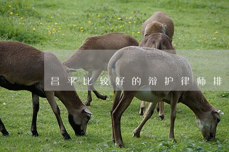 昌平比较好的辩护律师排名 昌平比较好的辩护律师排名