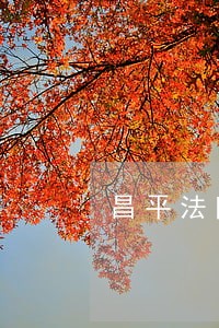 昌平法院被执行人查询 昌平法院被执行人查询