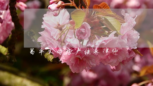 昌平父母房产继承律师