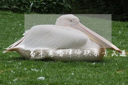 昌平离婚律师联系方式通州 昌平离婚律师联系方式通州