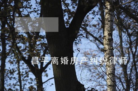 昌平离婚房产纠纷律师 昌平离婚房产纠纷律师