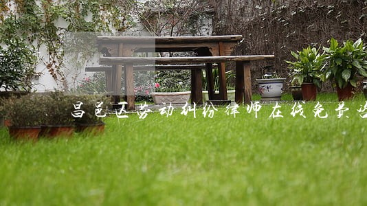 昌邑区劳动纠纷律师在线免费咨询