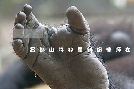 昌都山林权属纠纷律师在线咨询 昌都山林权属纠纷律师在线咨询