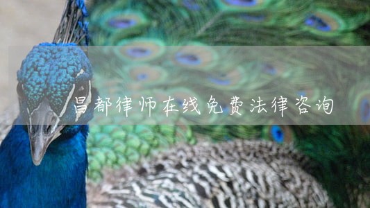 昌都律师在线免费法律咨询 昌都律师在线免费法律咨询