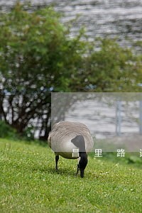 昌里路违法商铺大整顿 昌里路违法商铺大整顿