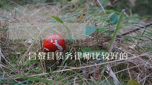 昌黎县债务律师比较好的 昌黎县债务律师比较好的