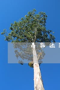 昌黎法院首战取得开门红 昌黎法院首战取得开门红