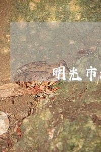 明光市法院王凤龙 明光市法院王凤龙