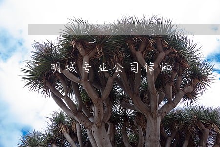 明城专业公司律师 明城专业公司律师