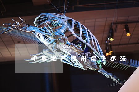 明基地产泽州院子违法