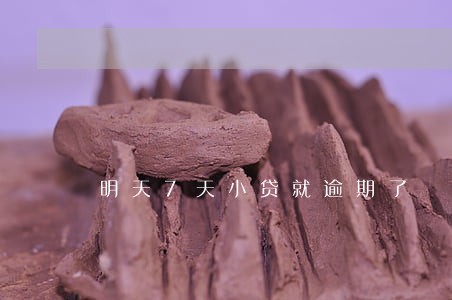 明天7天小贷就逾期了