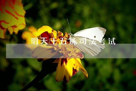 明天十五妹司法考试 明天十五妹司法考试