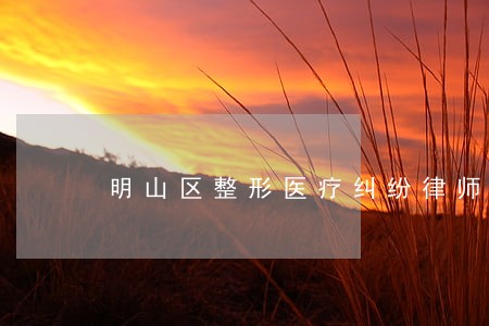 明山区整形医疗纠纷律师 明山区整形医疗纠纷律师