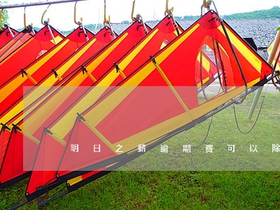 明日之薪逾期费可以除掉吗 明日之薪逾期费可以除掉吗