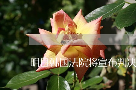 明日韩国法院将宣布判决 明日韩国法院将宣布判决