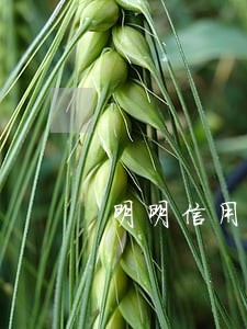 明明信用良好也没有逾期了