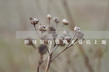 明明没有信用卡征信上面显示逾期 明明没有信用卡征信上面显示逾期