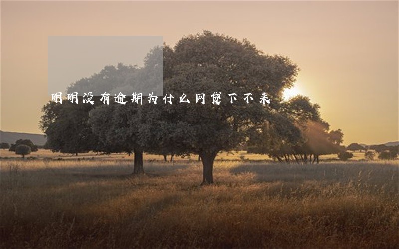 明明没有逾期为什么网贷下不来 明明没有逾期为什么网贷下不来