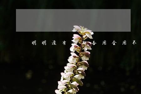 明明没有逾期备用金用不了 明明没有逾期备用金用不了