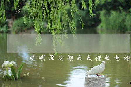 明明没逾期天天催收电话 明明没逾期天天催收电话
